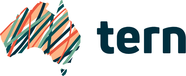 TERN